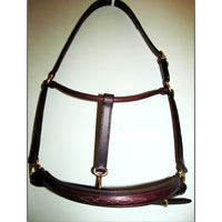 Manufacturers Exporters and Wholesale Suppliers of Leather Horse Halter Kanpur Uttar Pradesh